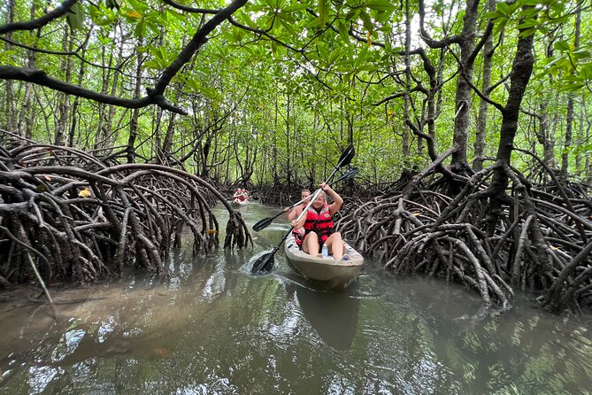 Half-Day Mangrove Kayaking in Langkawi - The 10:30am briefing and the gear provided