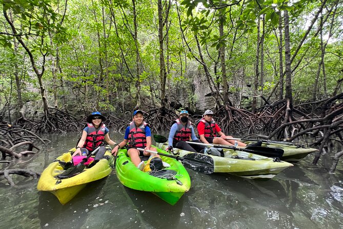 Half-Day Mangrove Kayaking in Langkawi - Is $77.57 good value?