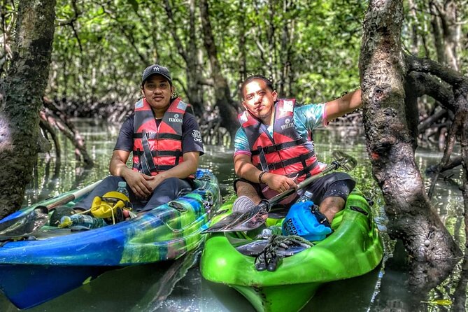 Half-Day Mangrove Kayaking in Langkawi - Meeting at Kilim Jetty at 10am
