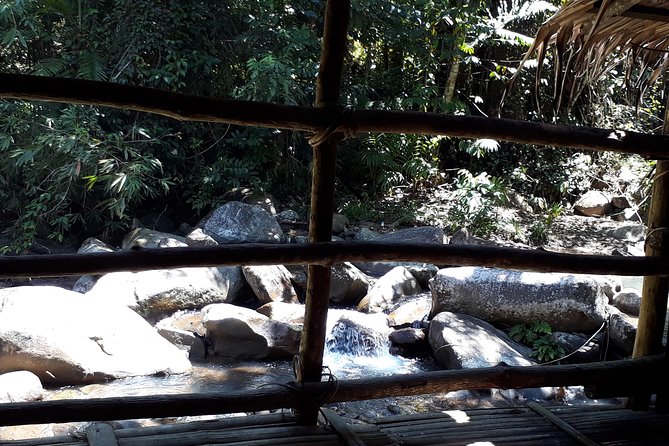 Half-Day Mari Mari Cultural Village from Kota Kinabalu - The Dusun Stop and Sabah’s Paddy Traditions