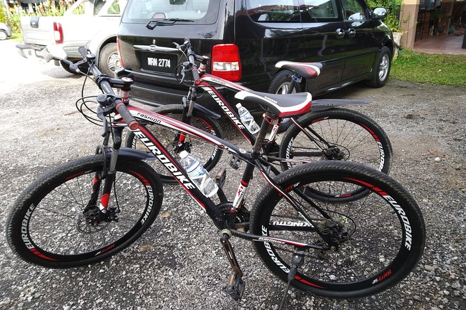 Half-Day Penang Countryside Cycling Tour - Saanen Dairy Goat Farm