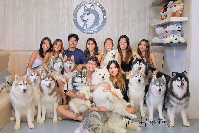 Huskitory Connecting People and Dogs - Quick points before you book