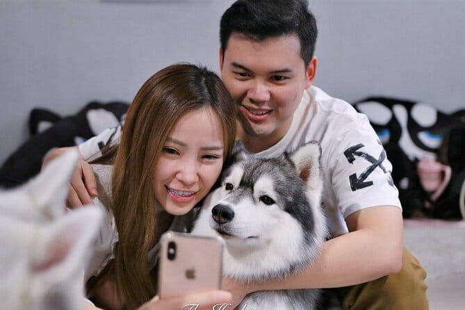 Huskitory Connecting People and Dogs - Why the breed background adds value
