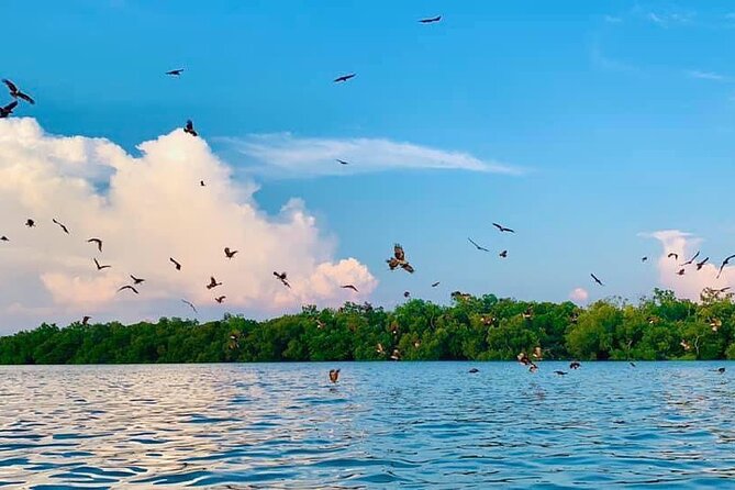 Instagrammable Kuala Selangor Sky Mirror Tour with Transfer - What the $90 price really covers