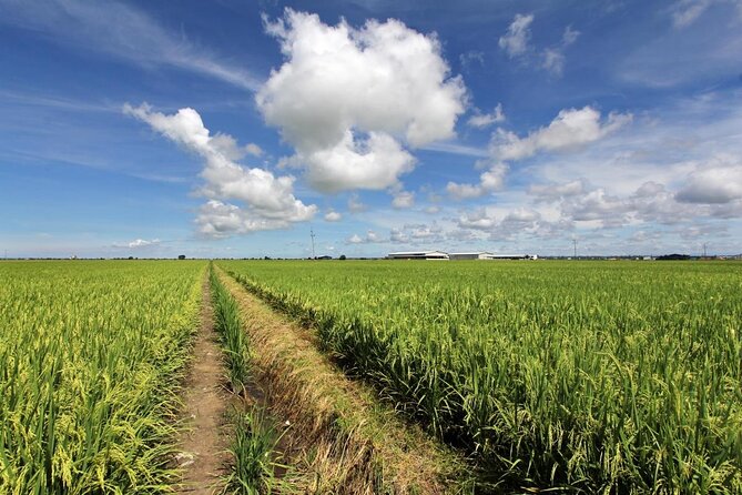 Instagrammable Kuala Selangor Sky Mirror Tour with Transfer - Who will enjoy this day most