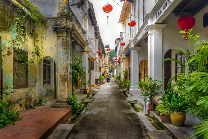 Ipoh Heritage & Orang Utan Island Day Tour from Kuala Lumpur - What to expect from the animal visit