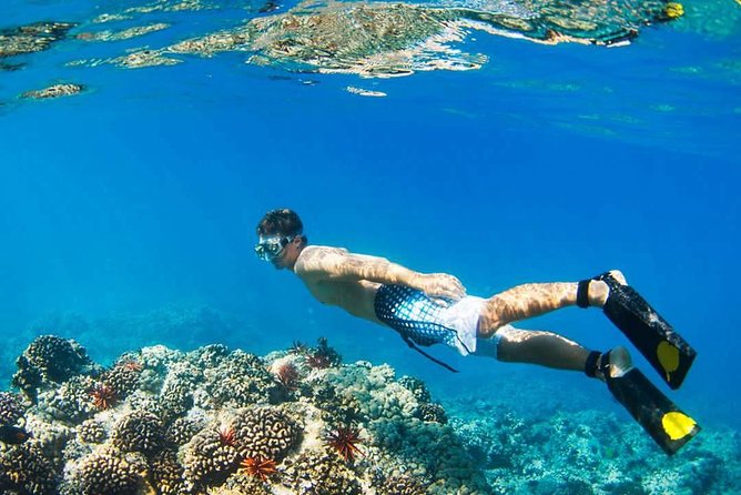 Island Hopping Tour (2 Island) From Kota Kinabalu - Lunch, free time, and what is included