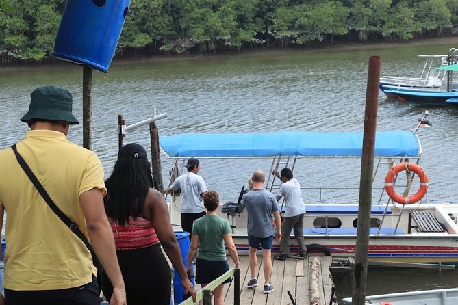 Johor Desaru Coast Day River Cruise - The boat ride through the mangrove forest