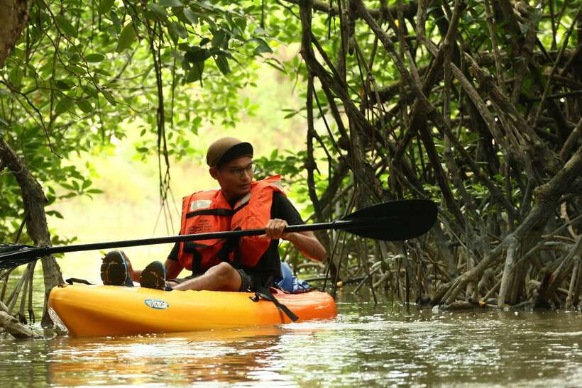 Johor: Sungai Lebam Kayaking with Transfer - Why Sungai Lebam works as a half-day nature outing
