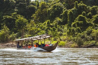 Jungle Odyssey: Unleash Your Adventure in Taman Negara!