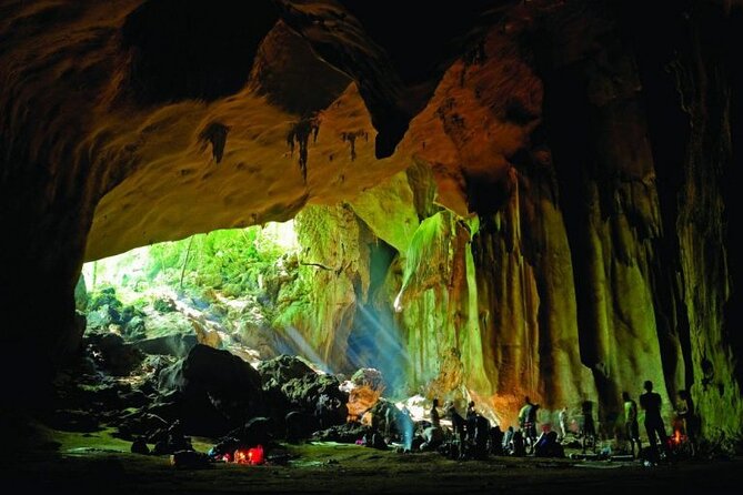 Jungle Odyssey: Unleash Your Adventure in Taman Negara! - Lunch, park fees, and the $169.66 cost