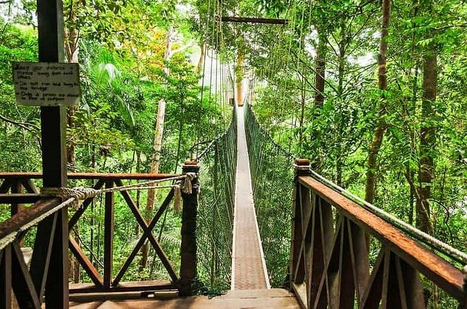 Jungle Odyssey: Unleash Your Adventure in Taman Negara! - What the 12-hour day feels like