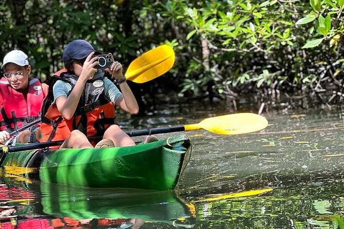 Kayaking Kilim Mangrove Geoforest - Fish farm, sea creatures, and the start of kayaking