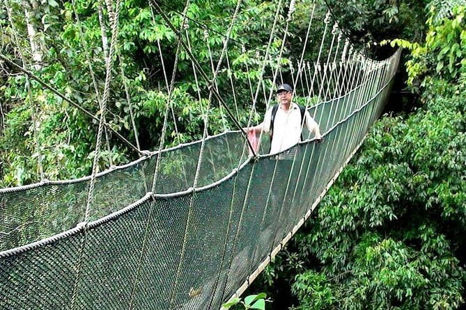 Kinabalu National Park Tour - From Kota Kinabalu into Sabah’s mountain country