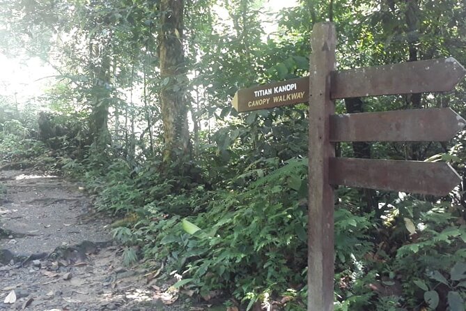 Kinabalu Park Day Trip - The Canopy Walk and Kipungit Waterfall