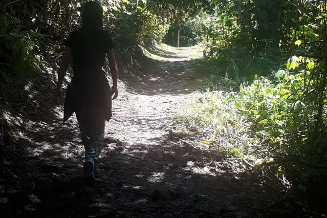 Kinabalu Park Day Trip - Who will get the most from this tour