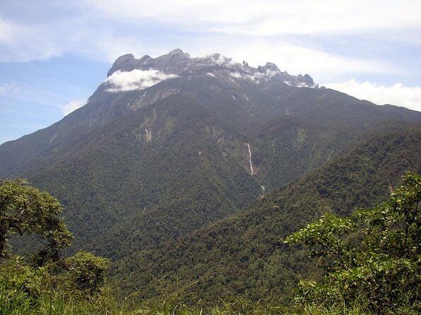 Kinabalu Park & Poring Hot Spring & Canopy Walk - Key points to know before booking