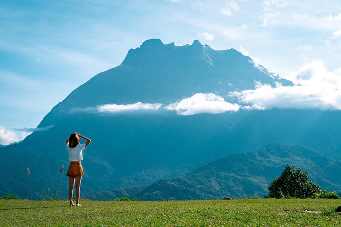 Kinabalu Park & Poring Hot Spring & Canopy Walk - Kinabalu Park brings cooler air and rare plants