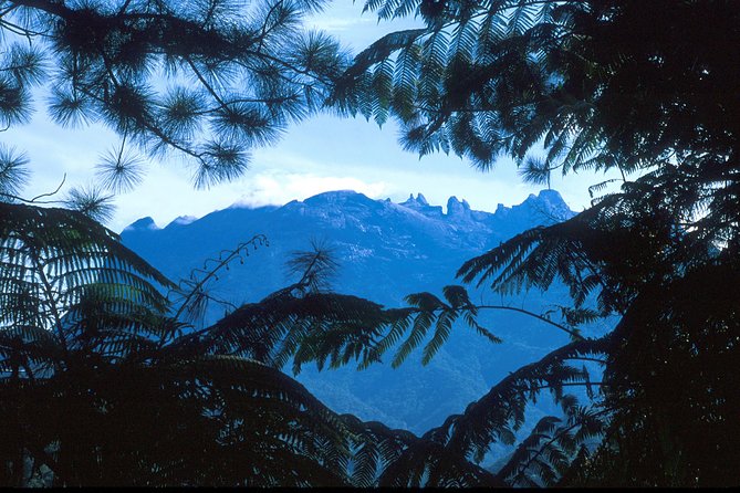 Kinabalu Park & Poring Hot Spring Tour - Kinabalu Park offers a short taste, not a full park visit