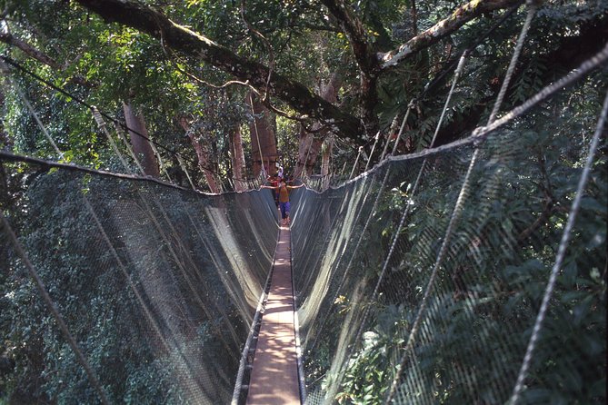 Kinabalu Park & Poring Hot Spring Tour - Is $78 fair for this full-day outing?