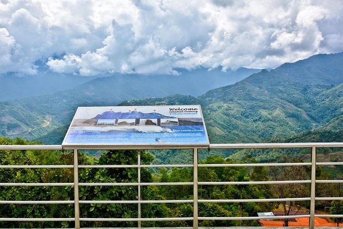 Kinabalu Park & Poring Hot Spring Tour - Poring Hot Spring and the fish spa