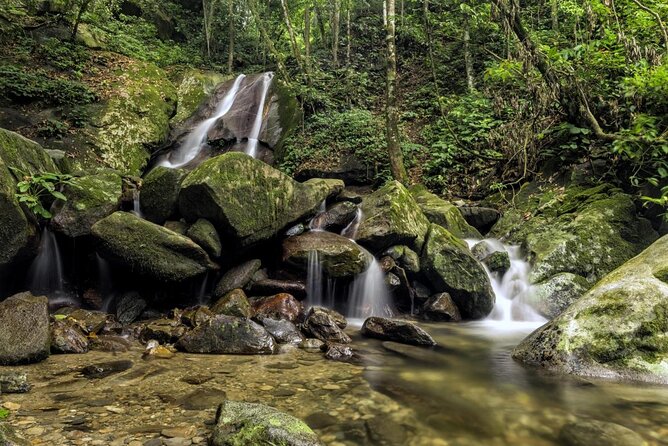 Kinabalu Park & Poring Hot Springs Tour with Desa Dairy Farm - A full day from Kota Kinabalu to the mountain country