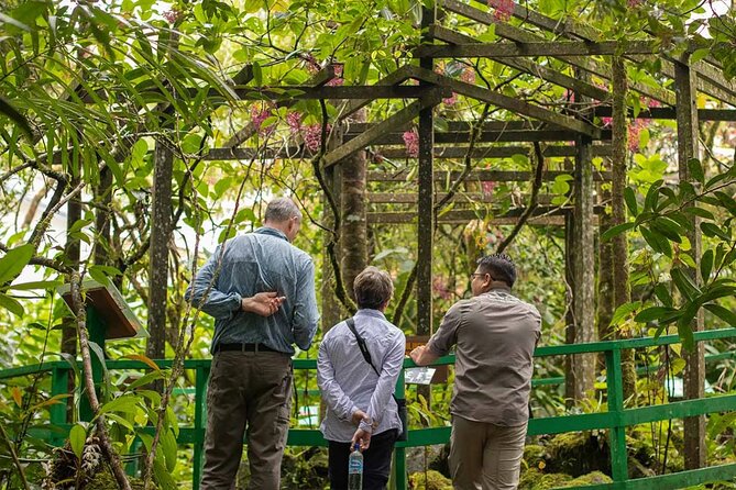 Kinabalu Park & Poring Hot Springs Tour with Desa Dairy Farm - Lunch and the road through Kundasang