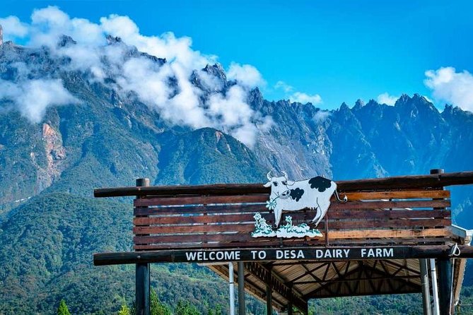 Kinabalu Park With Rumah Terbalik & Desa Cow Farm - Key points to know before you book