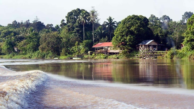 Kinabatangan River Trip from Sandakan with Lunch Included - Practical booking advice for Sandakan