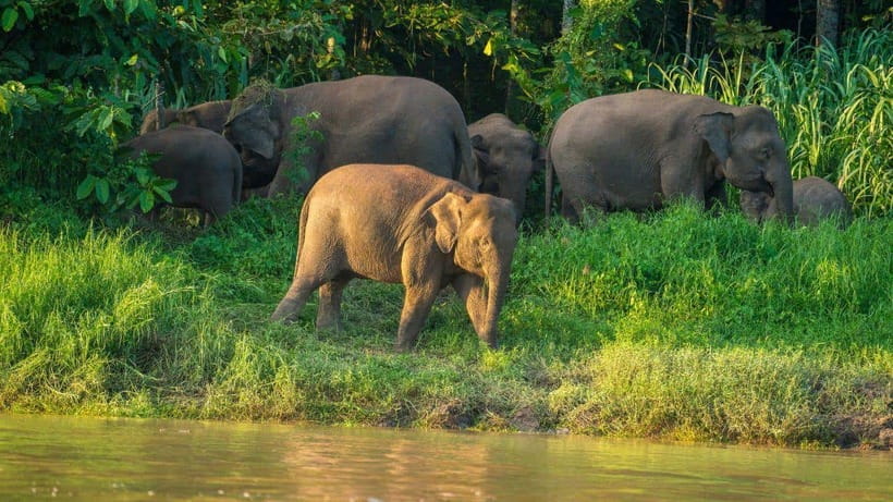 Kinabatangan River Trip from Sandakan with Lunch Included - The road to Bilit and the afternoon briefing