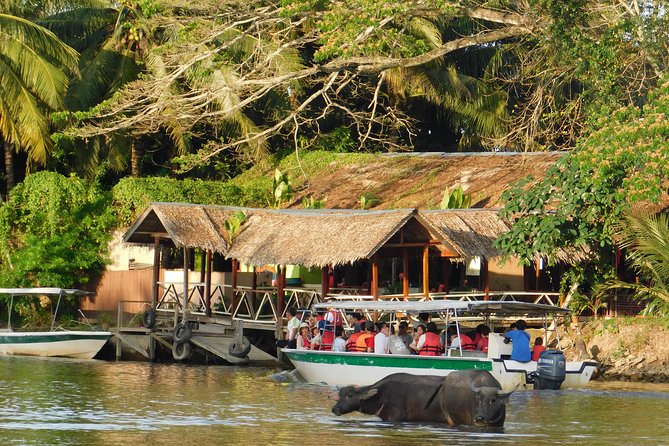 Klias Wildlife Safari River Cruise - Proboscis Monkey & Fireflies - Why this Klias wetlands trip is worth considering