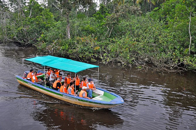 Klias Wildlife Safari River Cruise - Proboscis Monkey & Fireflies - An Asian buffet at the river lodge