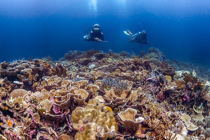 Kota Kinabalu Leisure Scuba Diving Trip (3 Dives) - The island lunch break and facilities