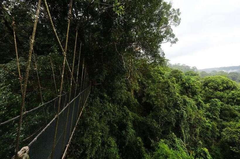 Kota Kinabalu: Private Kundasang and Poring Hot Spring Tour - Kinabalu Park, Sabah’s first UNESCO site