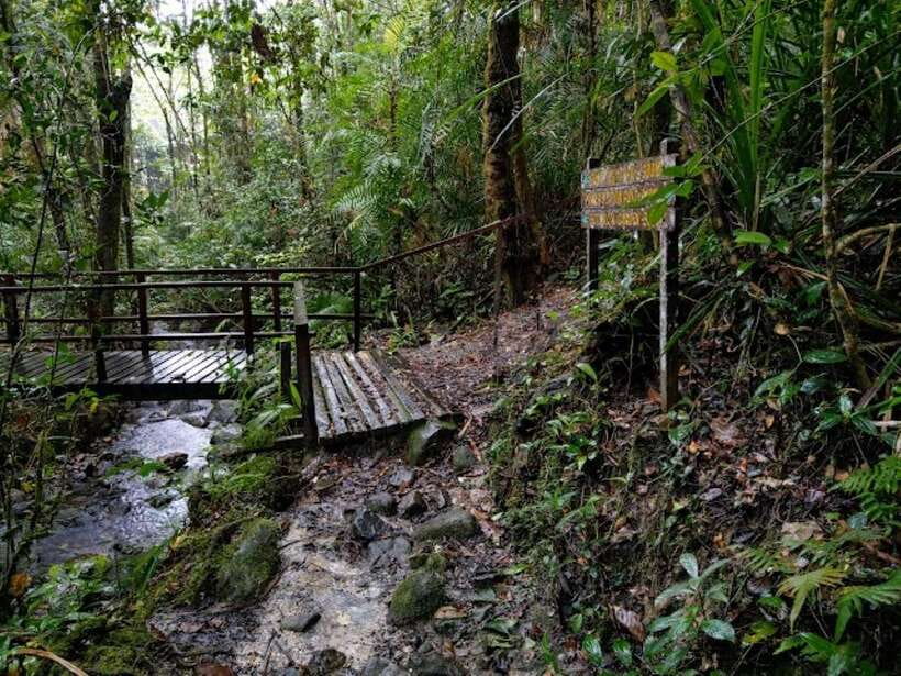 Kota Kinabalu: Private Kundasang and Poring Hot Spring Tour - Walking the Silau-Silau trails