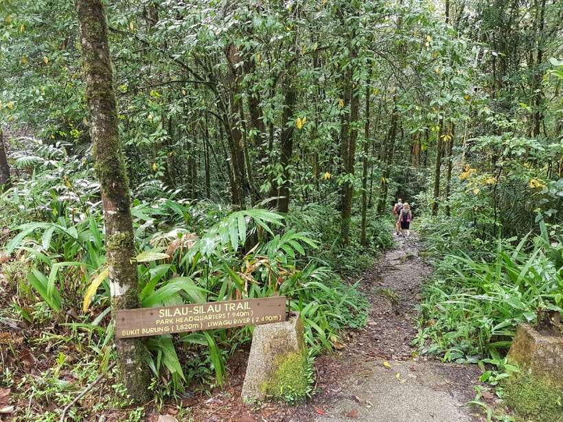 Kota Kinabalu: Private Kundasang and Poring Hot Spring Tour - Who will enjoy this day most?