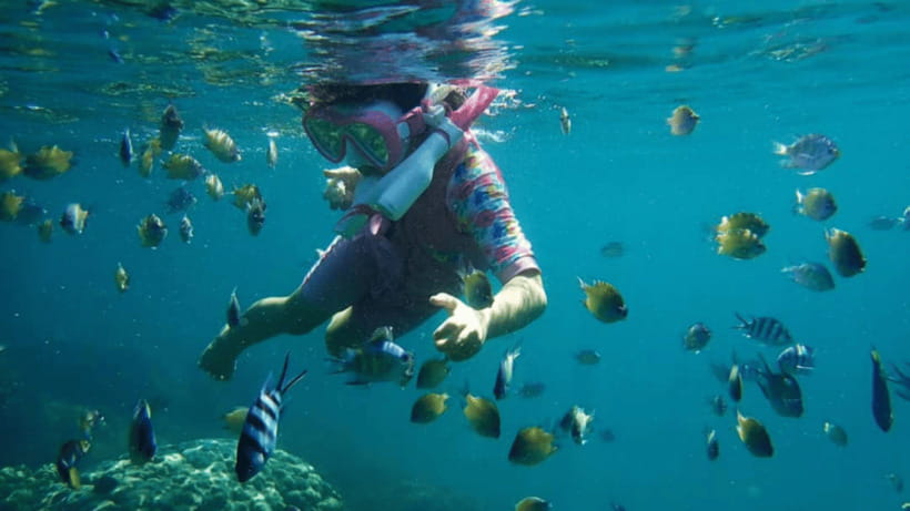 Kota Kinabalu : Snorkeling at Ara Dinawan Private Island - Lunch, tea, and a long afternoon by the water