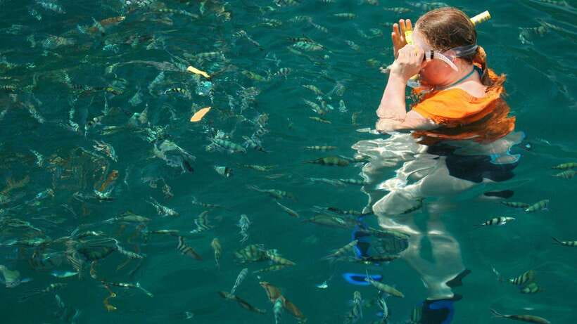 Kota Kinabalu: Snorkeling & Island Hopping Sapi & Manukan - The Boat to Manukan and a Better Afternoon Pace