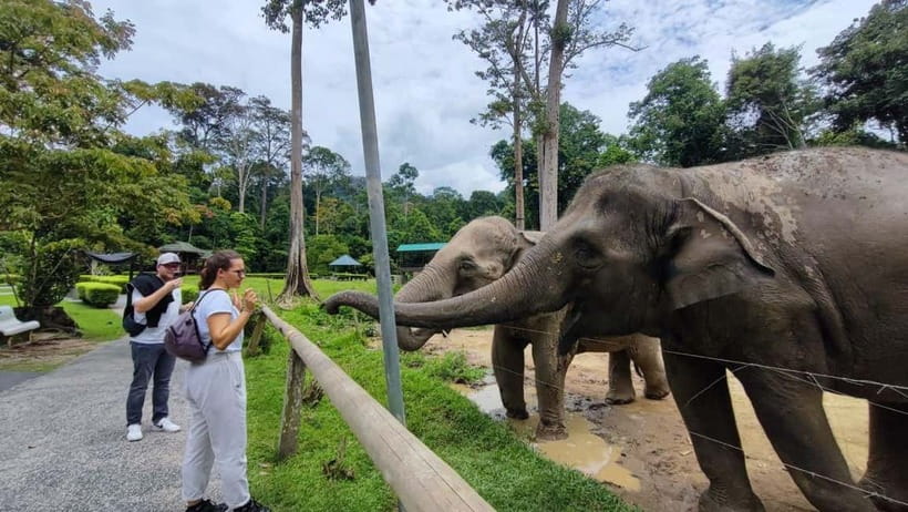 Kuala Lumpur: Batu Caves & Kuala Gandah Elephant Sanctuary - Why this Batu Caves and elephant combination works