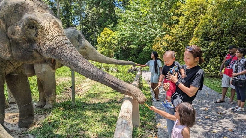 Kuala Lumpur: Batu Caves & Kuala Gandah Elephant Sanctuary - What to wear and carry at the temple