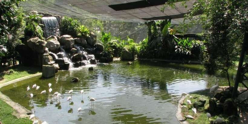 Kuala Lumpur: Bird Park, Butterfly & Garden Private Tour - Should you book the Bird Park, Butterfly and Garden tour?