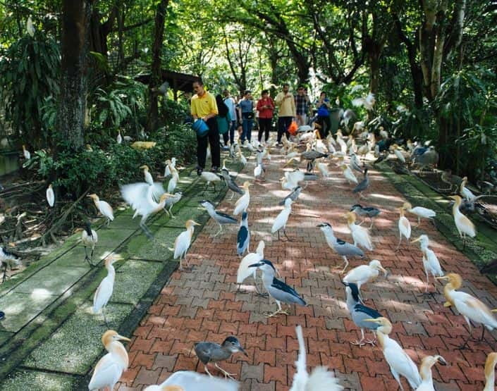 Kuala Lumpur: Bird Park, Butterfly & Garden Private Tour - Perdana Botanical Garden and Lake Gardens on the drive