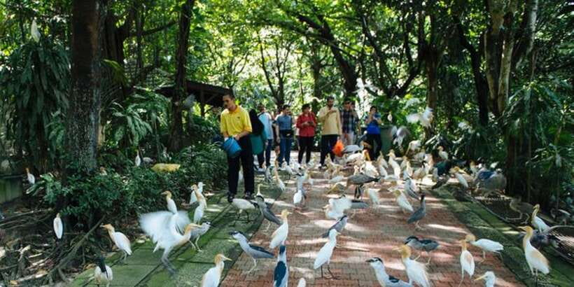 Kuala Lumpur: Bird Park, Butterfly & Garden Private Tour - What the private vehicle adds