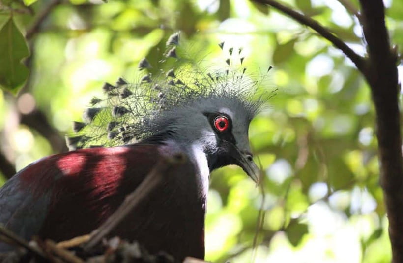 Kuala Lumpur: Bird Park, Butterfly & Garden Private Tour - Who will enjoy this outing most?