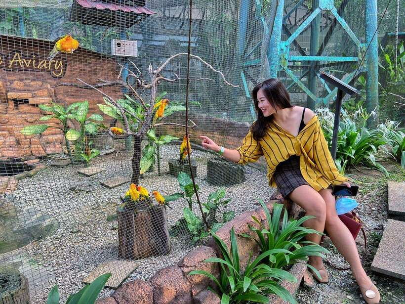 Kuala Lumpur: Bird Park Day Ticket & 1-Way Transfer - Practical details that can save you trouble