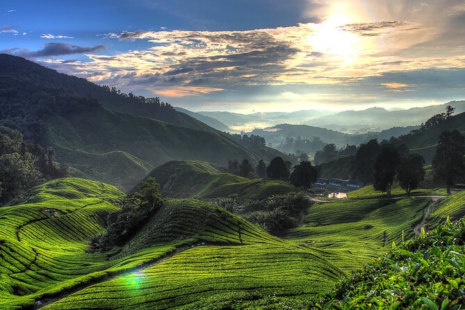 Kuala Lumpur: Cameron Highlands & Batu Caves Private Day Tour - Why this day trip works