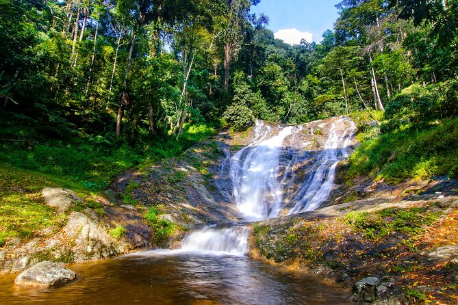 Kuala Lumpur: Cameron Highlands & Batu Caves Private Day Tour - Cameron Bharat Tea Estate and the first cup