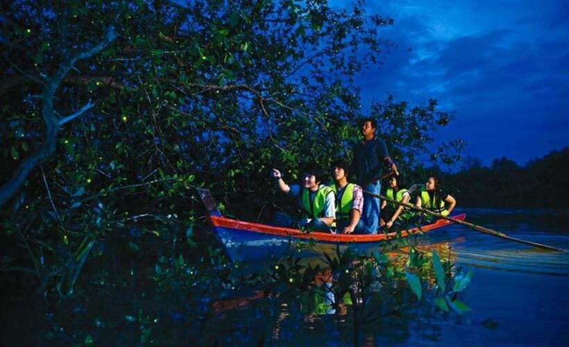 Kuala Lumpur: City Sights, Batu Caves and Fireflies Day Trip - What makes this day trip worth considering