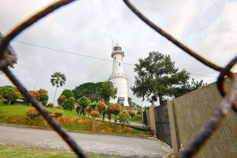 Kuala Lumpur: Fireflies & Blue Tears Tour with Seafood Meal - Should you book the Kuala Selangor evening tour?