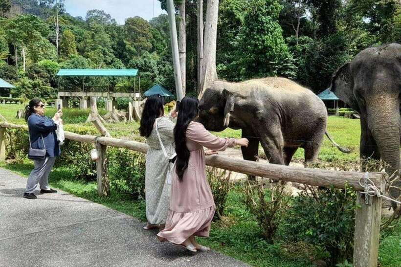 Kuala Lumpur: Kuala Gandah and Batu Caves Private Trip - Batu Caves: one hour among shrines and monkeys
